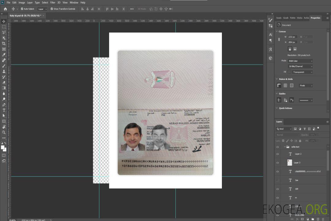 Passeport palestinien 2023-présent template Passeport palestinien 2023-présent template